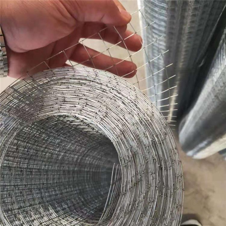 Stainless steel welded wire mesh coil